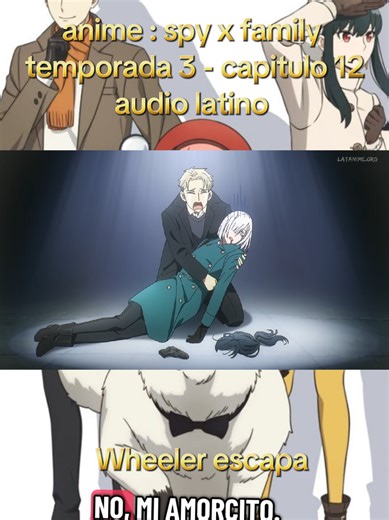anime : spy x family temporada 3 - capitulo 12 audio latino Wheeler se escapa #anime #spyxfamily #loidforger #anyaforger #viral