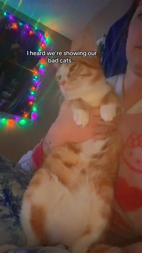 He’s not bad, just new to the world & doesn’t like to listen! 😅 #orangecat #cat #trending