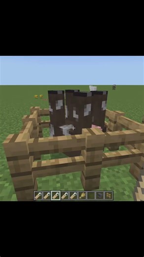 All minecraft name tag easter eggs!!! #minecraft #gaming