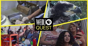 WEDU Quest:Episode 204 Season 2 Episode 4