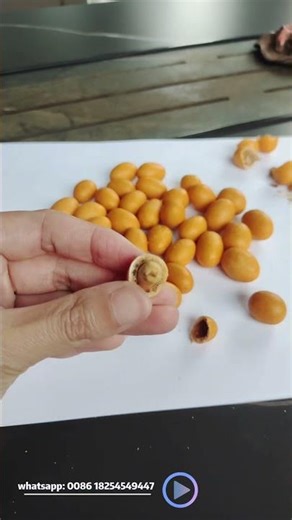 Peanut Auto Coating Production Line: Full One-Stop Service (Equipment, Recipes & Process Data)