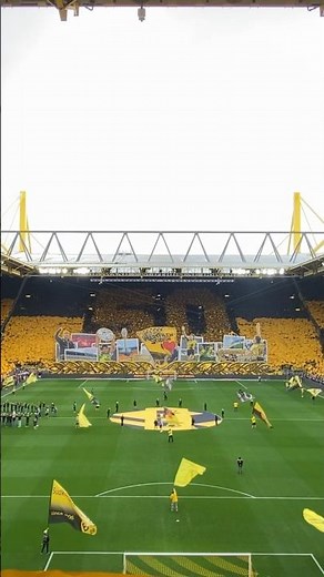 Tifo for 50th Stadium anniversary