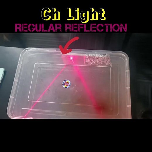 Ch Light || Regular reflection and Irregular reflection || class 8