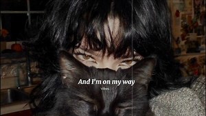 On My Way // Alan Walker | 𝐕𝐢𝐛𝐞𝐬.