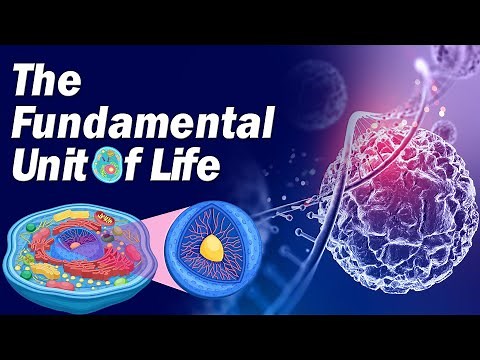 Class 9 | The Fundamental Unit of Life | CBSE Board | Science | Home Revise