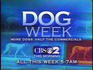 WCBS 2 Commercials on May 1, 2005 (60fps)