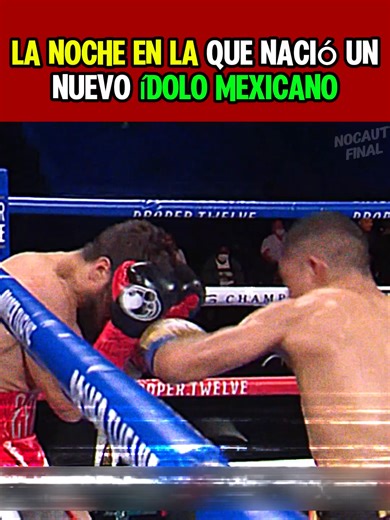 Cruz vs Magdaleno Boxing Match Highlights