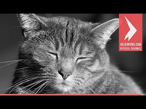 Darktable - 3 Methodes pour faire du Noir et Blanc