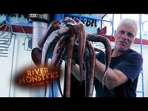 【釣り】アメリカオオアカイカをキャッチ - 川モンスター【日本語字幕】フルHD