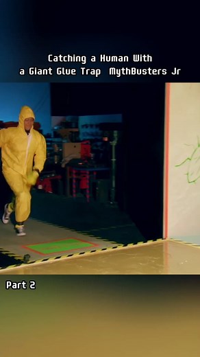 Catching a Human With a Giant Glue Trap MythBusters Jr #human #giant #glue #animal #foryou