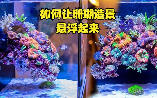 【微缸造景】如何拥有一个悬浮造景的珊瑚缸 海水微缸造景
