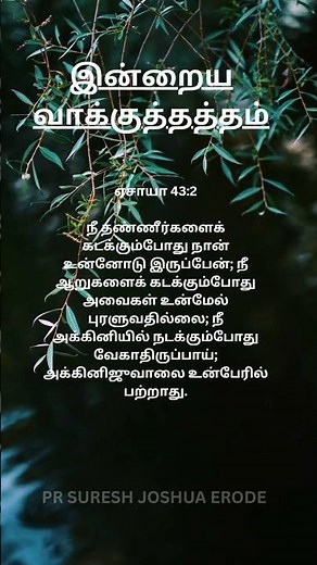 BEST Tamil Bible Verse for DAILY inspiration from Top Pastor