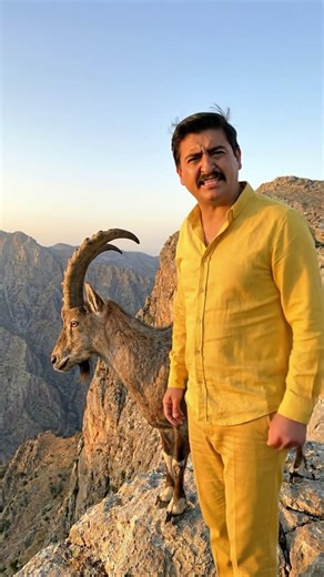 HOW DO MOUNTAIN GOATS CLIMB MOUNTAINS?