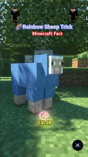 Minecraft Fact – Name a Sheep ‘jeb ’ and Watch the Rainbow Magic! Episode 11 #Minecraft #facts