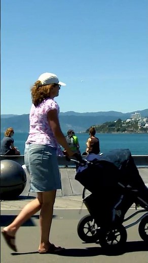 This Is New Zealand’s Coolest Capital | Wellington City, NZ #newzealand #travel
