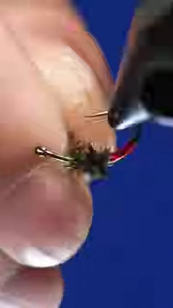 39K views · 626 reactions | Coachman Caddis Materials List: Hook: Hanak 310BL size 14 Thread: Semperfli 12/0 nano silk Tag: Semperfli red tinsel Body: Peacock herl Wing: Elk hair Hackle: Whiting Farms 100 pack UV Resin: Solarez Bone Dry | The Tao of Flies | Facebook