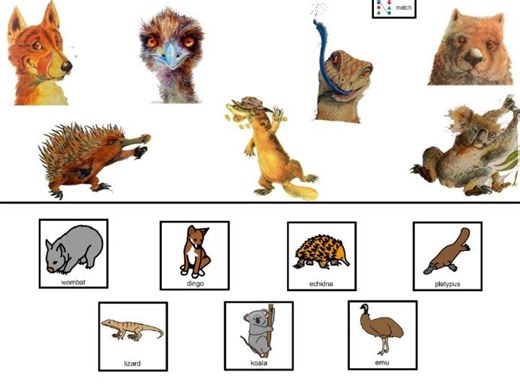 Wombat Stew: Story and activites | Teaching Resources