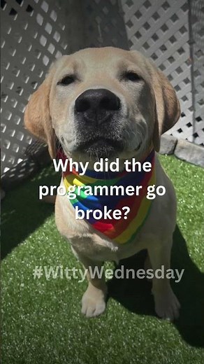 Why did the programmer go broke? #wittywednesday