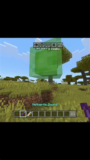 Minecraft Java Edition vs Bedrock Edition – What’s Different?