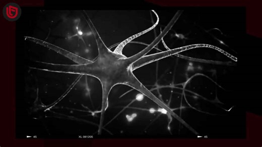 Why Does Time Go Faster As We Grow Older?