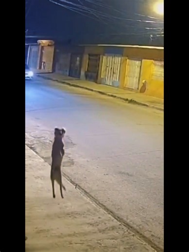 Voces del más allá: sonidos paranormales y testimonios reales