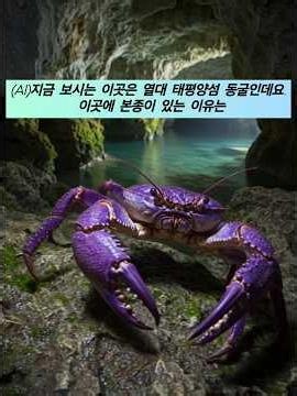 동굴에 특이한 육지게가 산다고? 그 정체는? ##동물 #화초관리 #도마뱀 #뱀 #파충류 #크레스티드게코 #다트프록 #도둑게 #crab #vivarium #reptiles