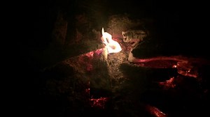 One of my Samhain Chants: “Samhain, Samhain - Summer’s End, the Harvest In. Samhain, Samhain - The Veil, it thins; Come, Spirit Friends.” Blessed Samhain & Happy Halloween! | Selena Fox