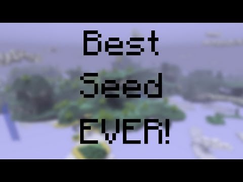 Seed for Minecraft 1.16.4 [Read Description]