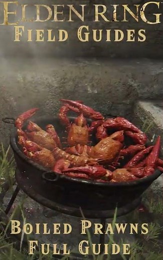 Boiled Prawn Full Guide - Location, Use, Quest line. Elden Ring Field Guide