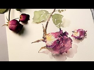 Dried Rose Watercolor Speed Painting