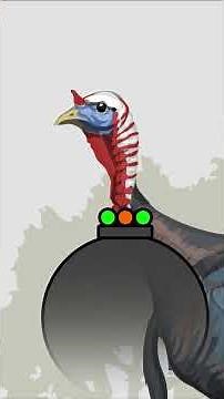 Where to aim on a turkey with a shotgun - full vid on our channel! #turkeyhunting #ArtofHunting