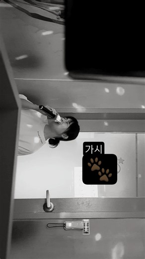 시원하게 지르고 싶으면 버즈노래 #가시 #락발라드 # #코인노래방 #추억의노래