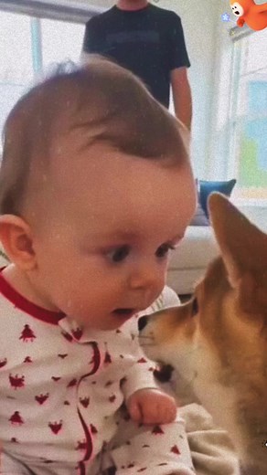 Cute Baby Laughing Moments Compilation