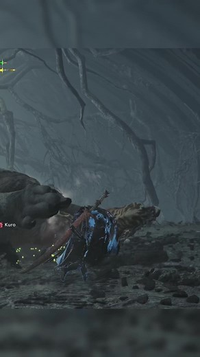 Mastering Monster Hunter Wilds: Best Builds and Tips