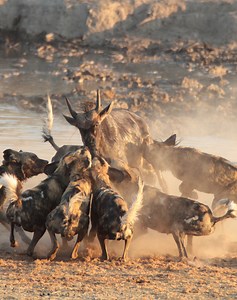 Minecraft Club on Reels