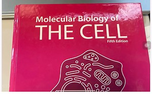 Molecular Biology of The Cell 蛋白质相关阅读