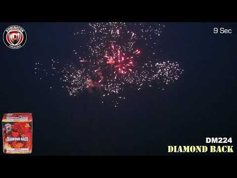 Diamond Back by Dominator Fireworks (200G, DM224)
