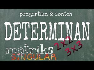 Determinan 2x2 dan 3x3 lengkap dengan Pengertian dan Matriks Singular