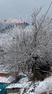 Birpani🍁🍁 | ہارون کشمیری