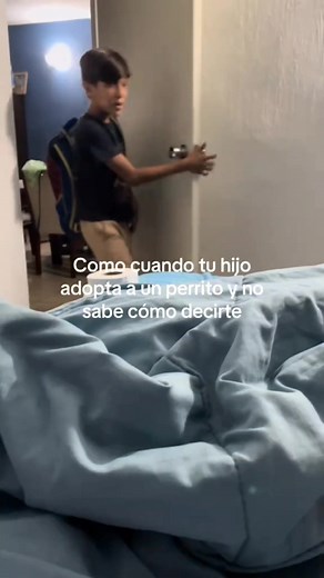 17K views · 333 reactions | Como cuando tu hijo adopta a un perrito y no sabe como decírtelo 來 | El RICHY | Facebook