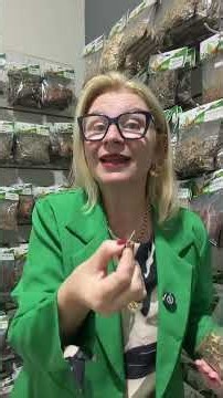 Uva ursina… ou uva ursa para infecção de urina!