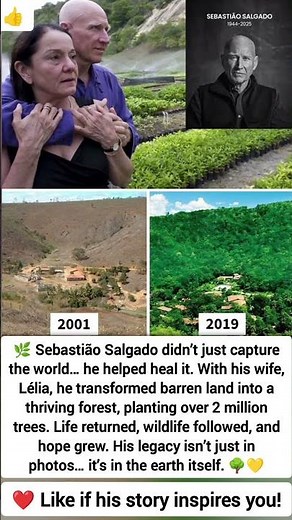 🌿 Sebastião Salgado: A Legacy Beyond Photography #story #viral #angel