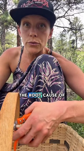 Hayley •Natural Physician •Master Iridologist •Herbal Medicine | 👁️Iridology reveals the root cause of dis-ease and with the help of natural medicine, we can quickly assess implement remedies. 🌎... | Instagram