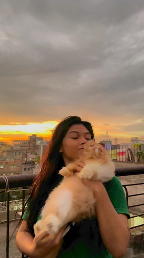 7.9K views · 239 reactions | my lion baby ♥️♥️ | House of the Cat | Facebook