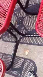 1K views · 27 reactions | Tree limbs and power lines don't mix... Here's a look at what happens when a tree limb comes in contact with a power line. JEC crews conduct safety demonstrations for students throughout out service area. It's never too early to learn about being safe around electricity. #jecworkingforyou #electricsafety #treesandpowerlinesnotagoodcombination | Jackson Energy | Facebook