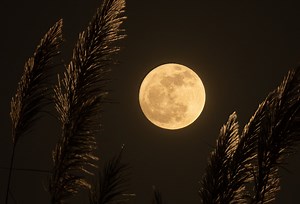 What Is Samhain and How Is It Celebrated?