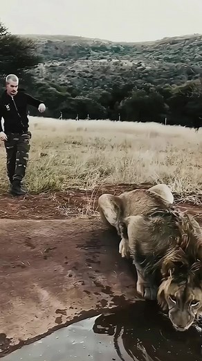 it's not something everyone can do#funnyvideos