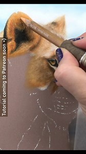Here are a few snippets of my current pastel project on the easel 😁. As I'll be drawing the entire Lioness in this piece, her face and therefore the ears are fairly small and that can make capturing fine details tricky. But by focusing on one layer at a time and using correct pencil technique the tiniest of details can be achieved. To make each detail count, the values and contrast have to be right. The inner ear is really dark and that is crucial in making the lighter details around the ear st