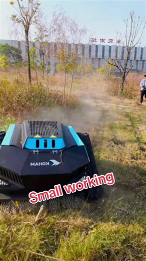 Small Construction Machinery in Action