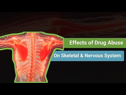 Effects of Drug Abuse on the Skeletal and Nervous Systems
